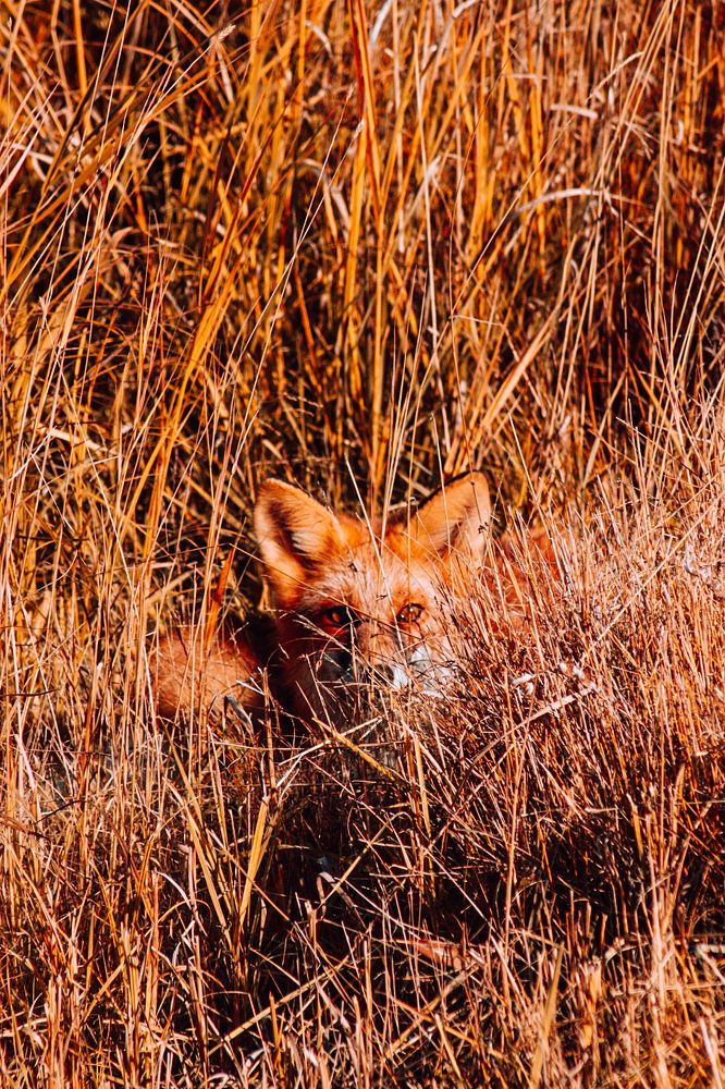 Photograph by Вероника Герасимова
