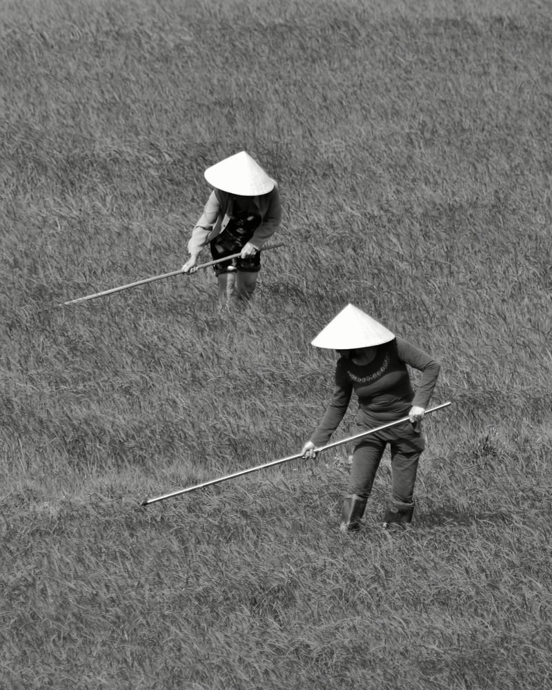 Photograph by Bertrand HOAREAU