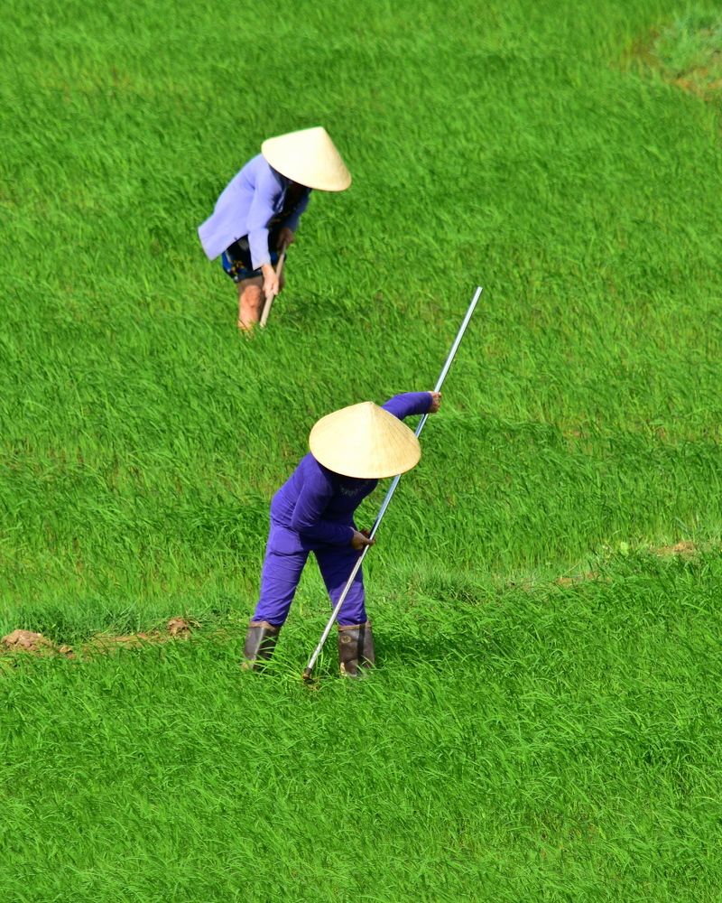 Photograph by Bertrand HOAREAU