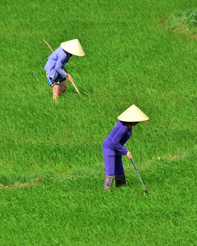 Photograph by Bertrand HOAREAU