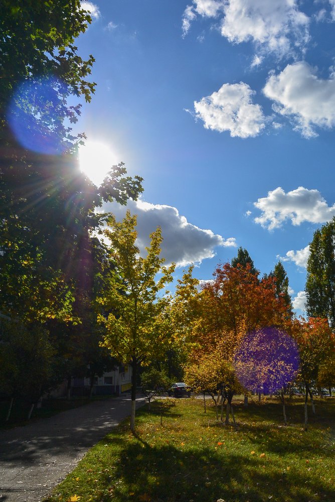 Краски осени