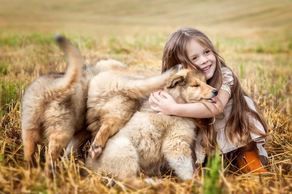 Влада и щенки