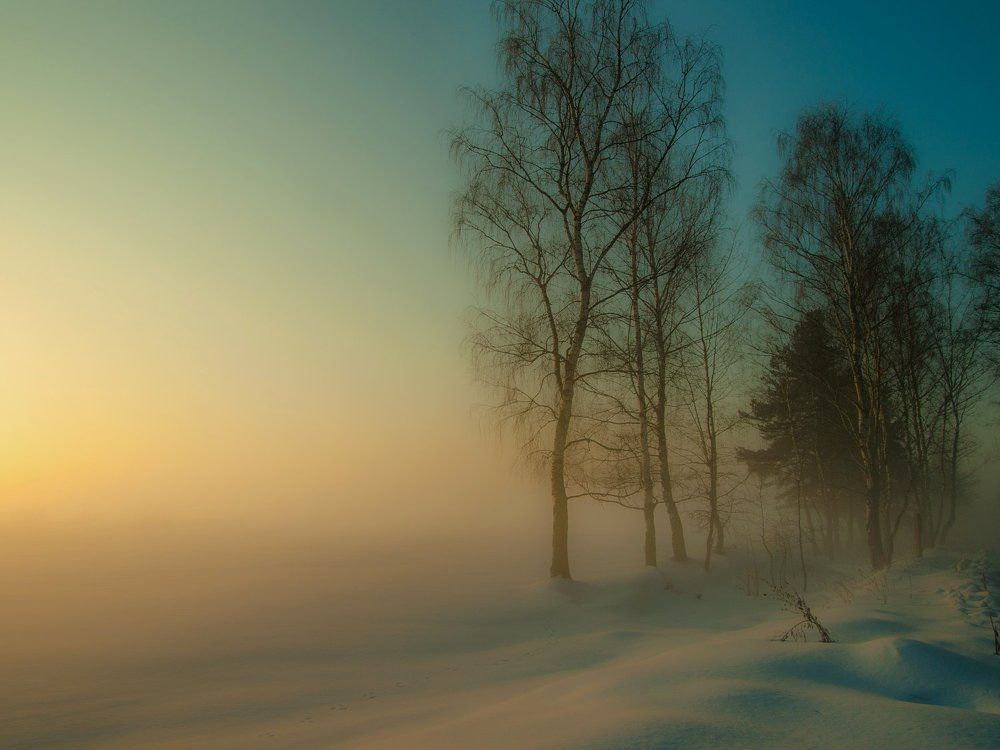 Туманное утро.