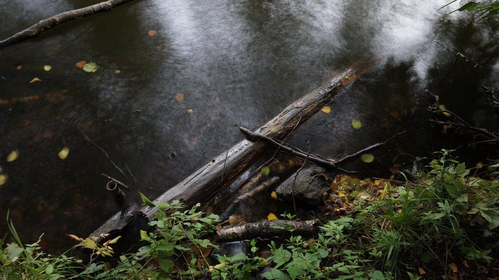 Шестой день осени