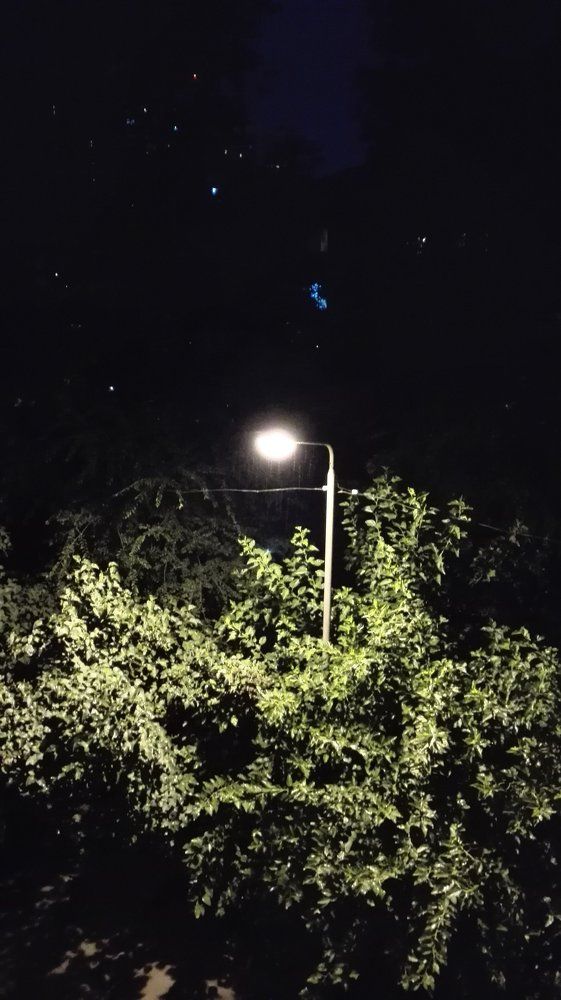 Photo #955501