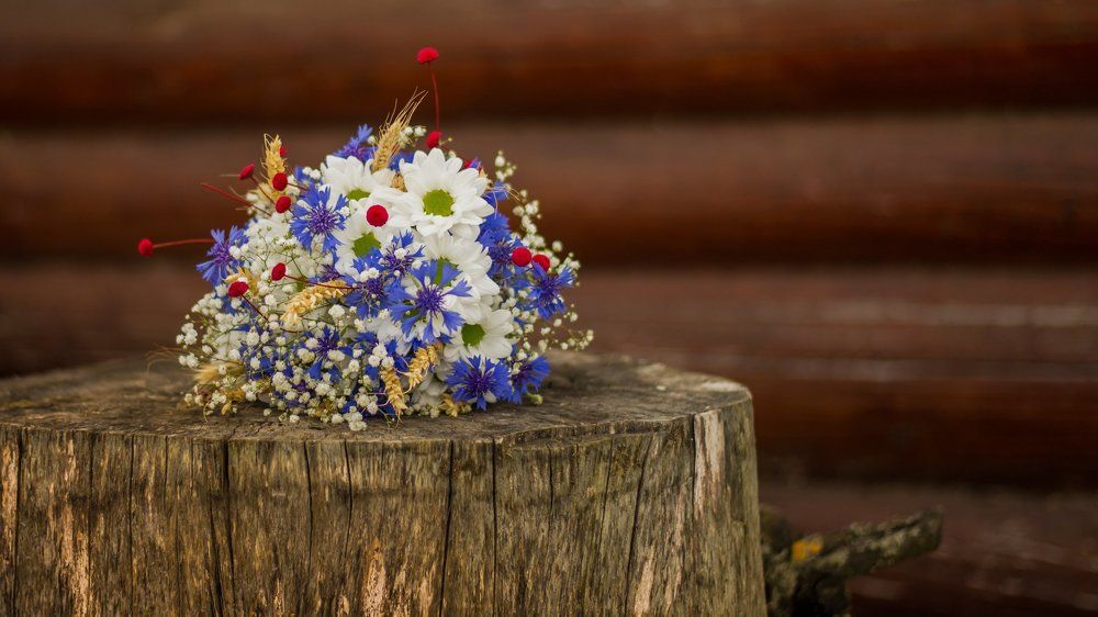 Фотография #956114