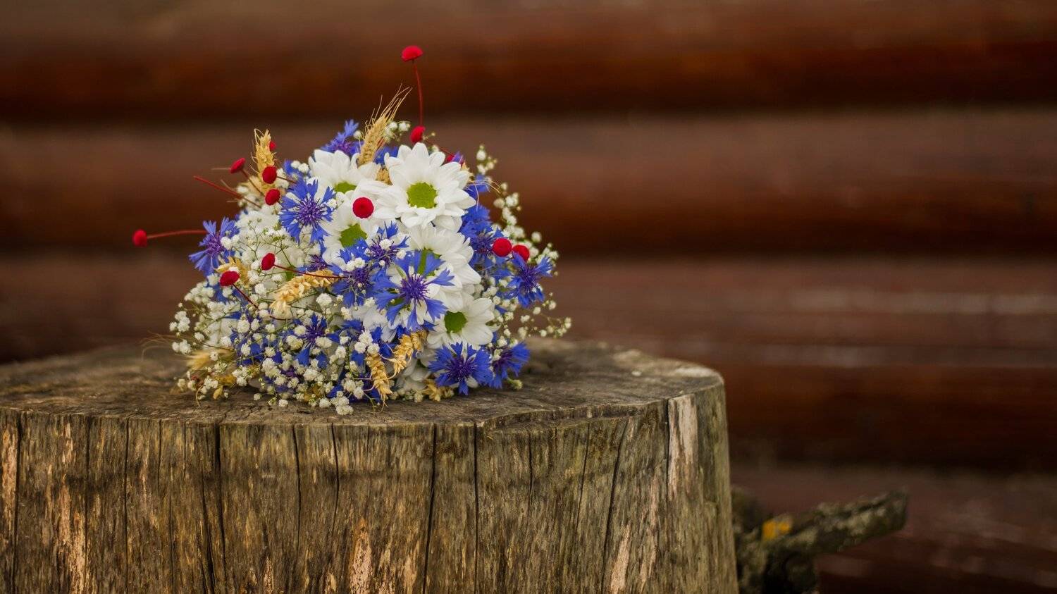 Фотография #956114