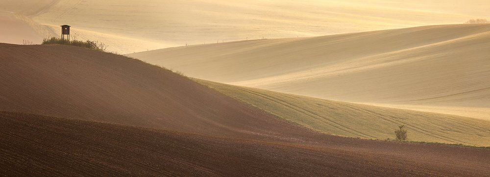 Запах земли