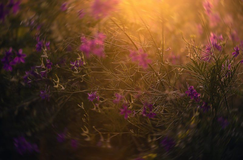 Velikiy Valentin, Ukraine