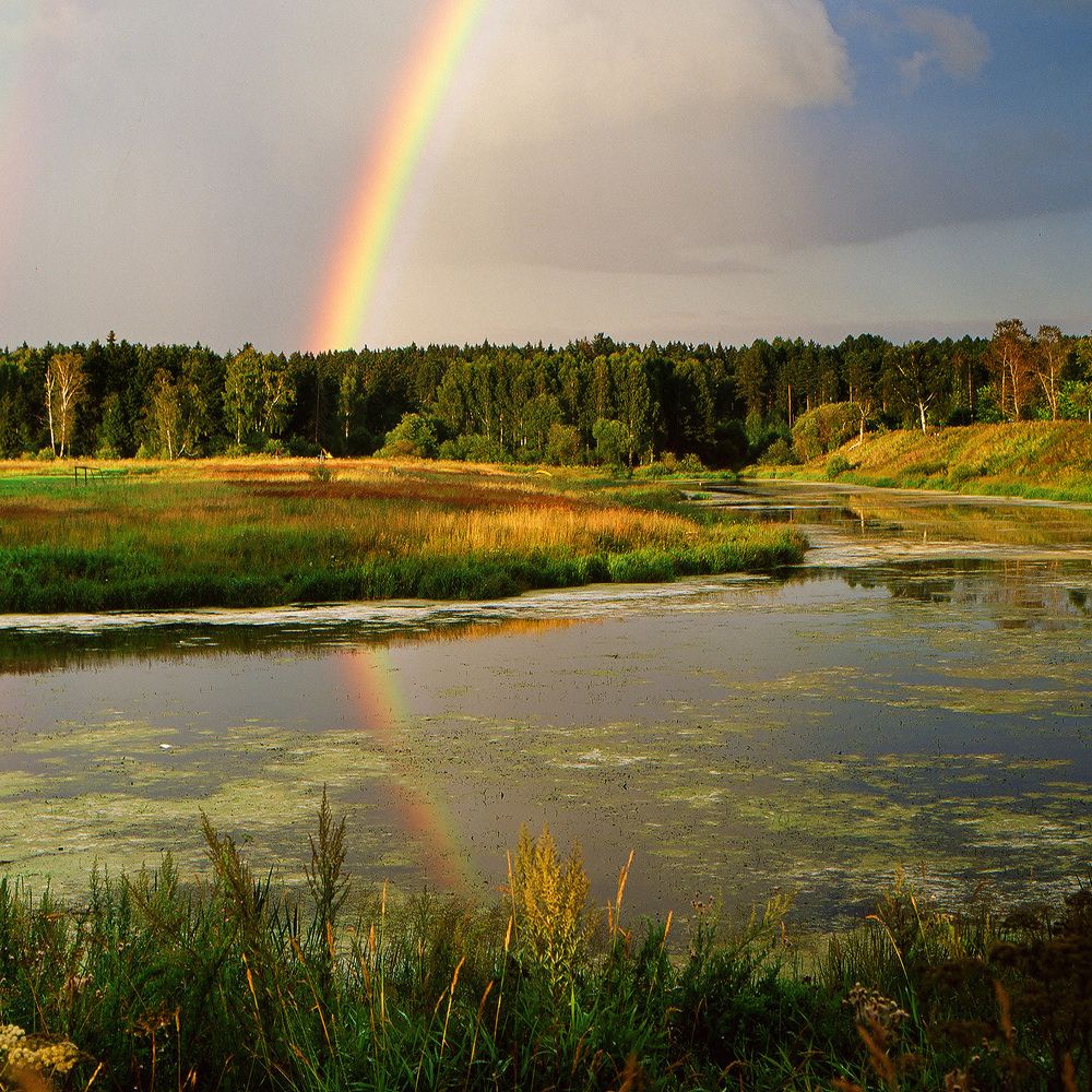 После дождя