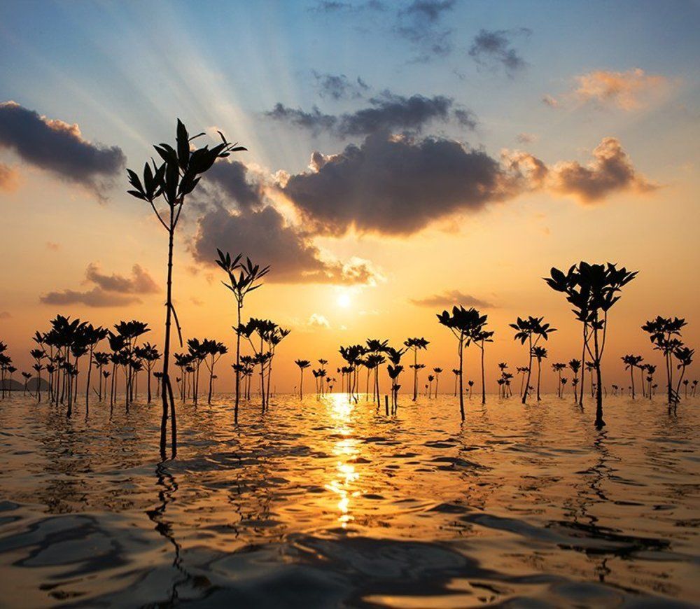 Photograph by шабашный глеб