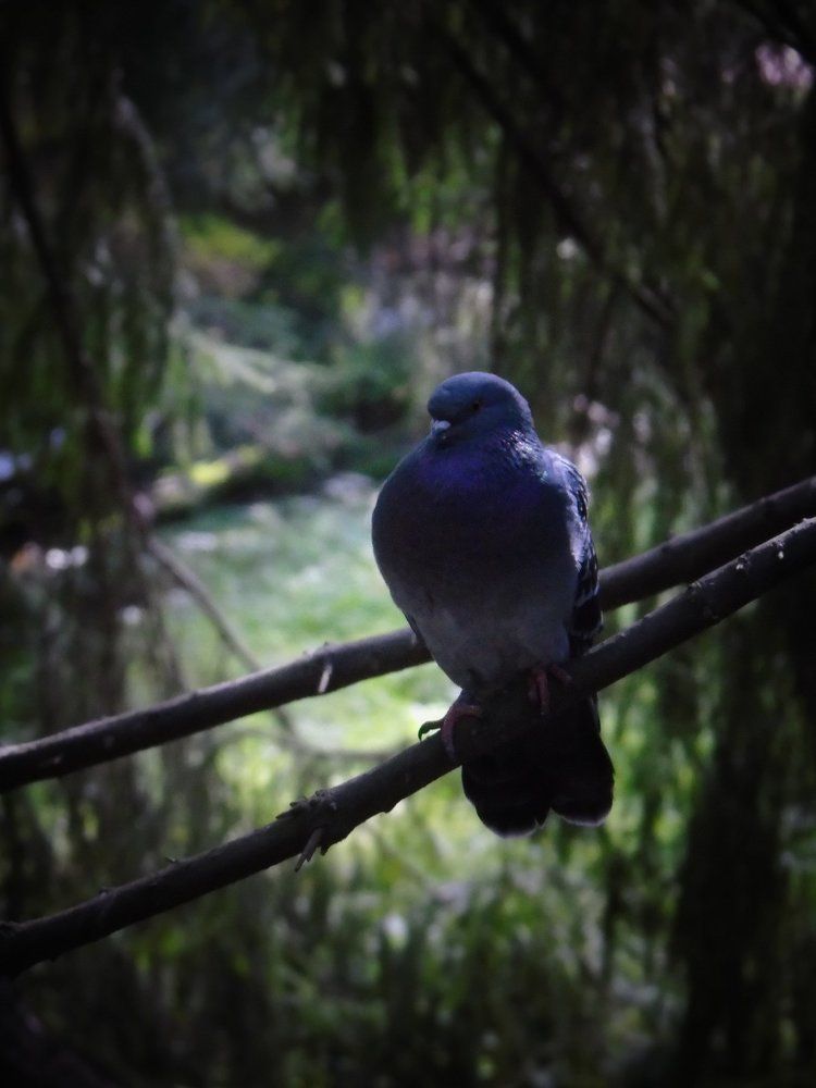 Photograph by Виктория