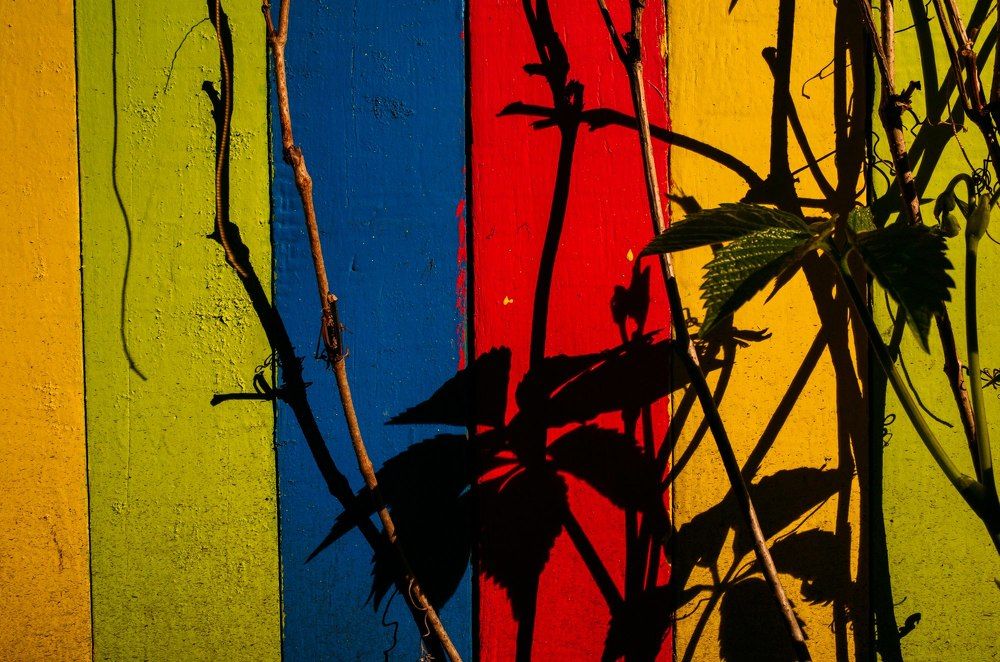 Photograph by Ренат Латышев