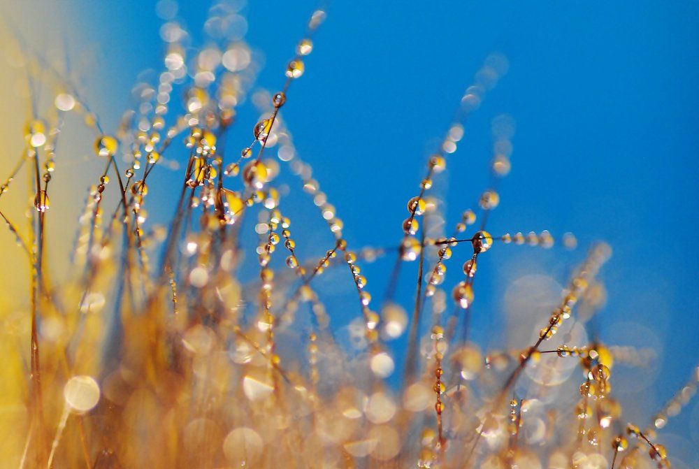 Вода на меховом воротнике..
