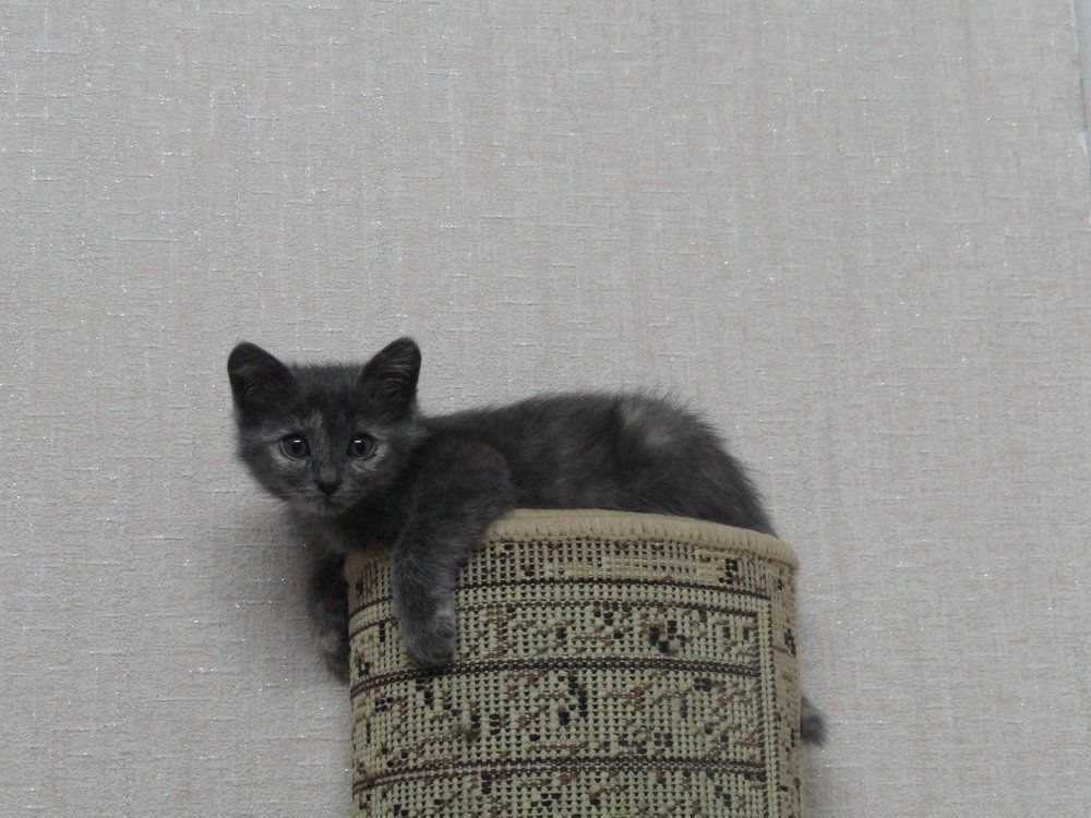 ЛЮБОВЬ МОЯ!