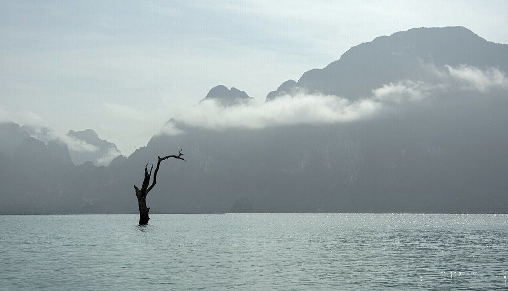 Провожающий