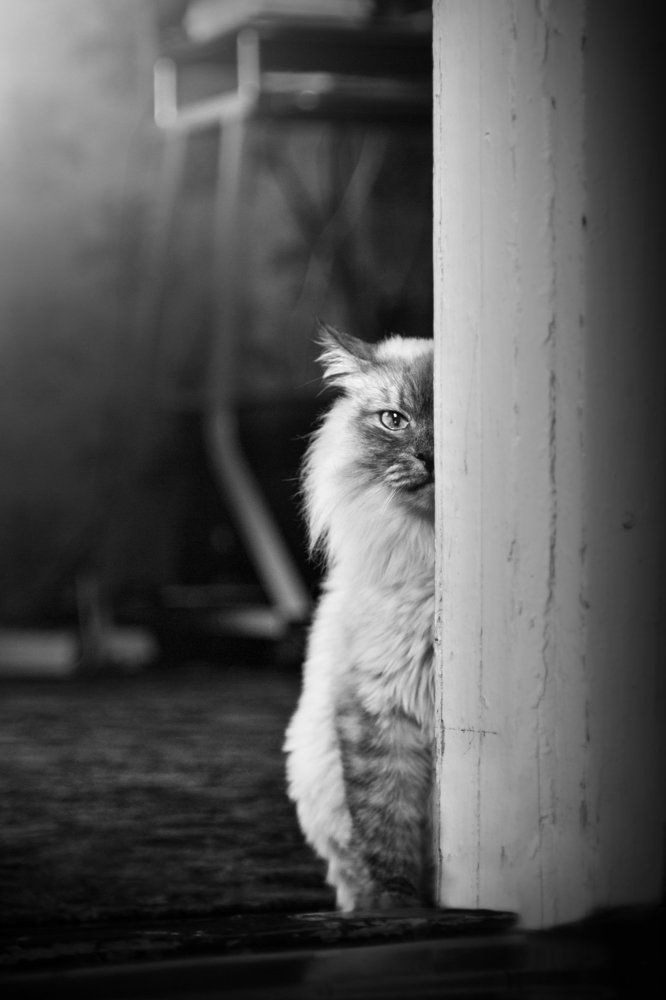 ... найдутся и те , кто придёт за тобой !