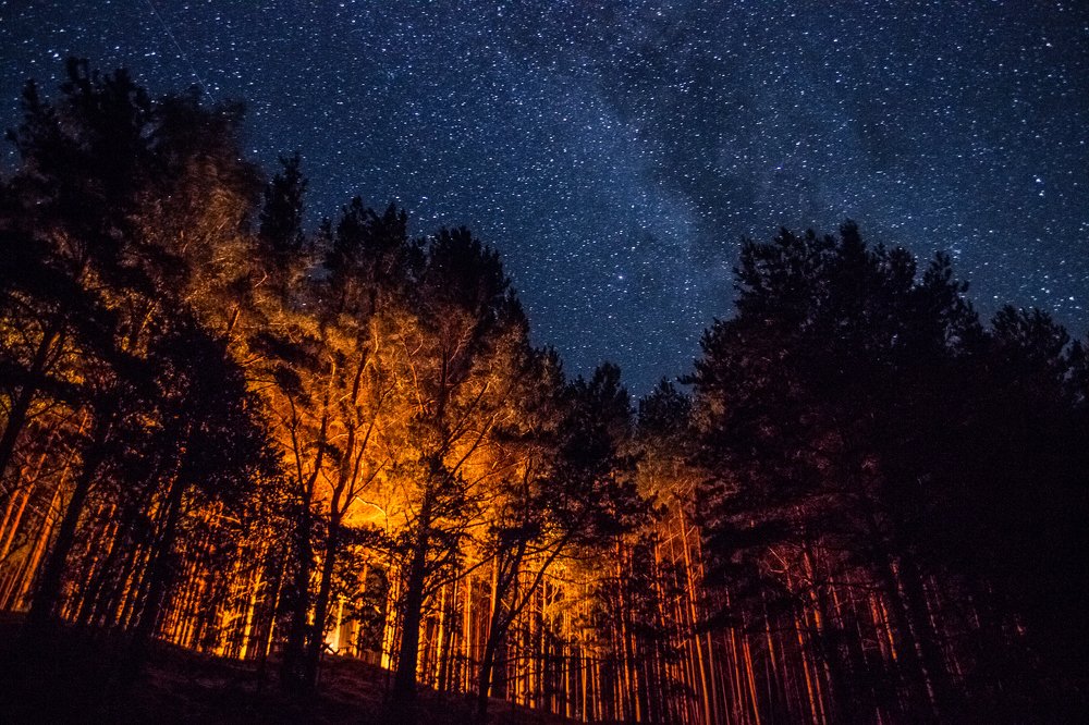 Огонь и ночь