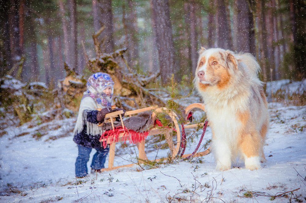 Дело было зимой