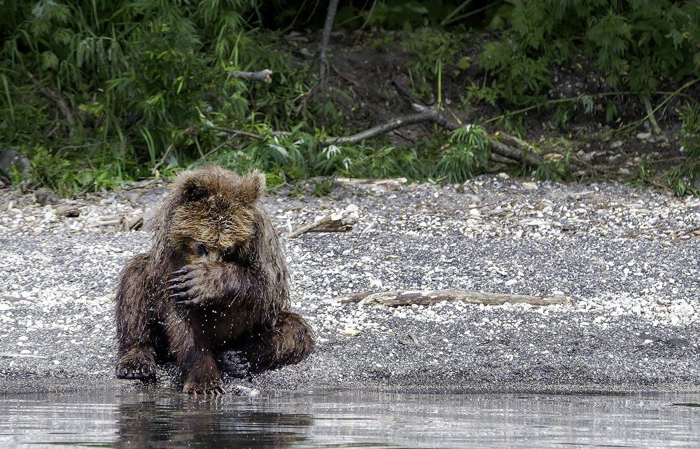 Стесняется