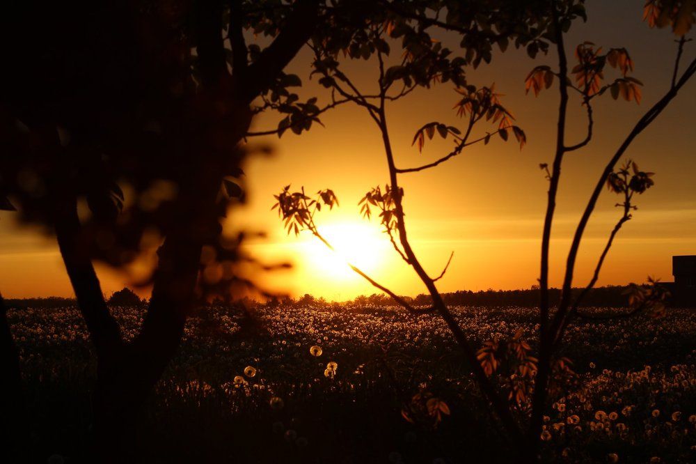 Таинство солнца