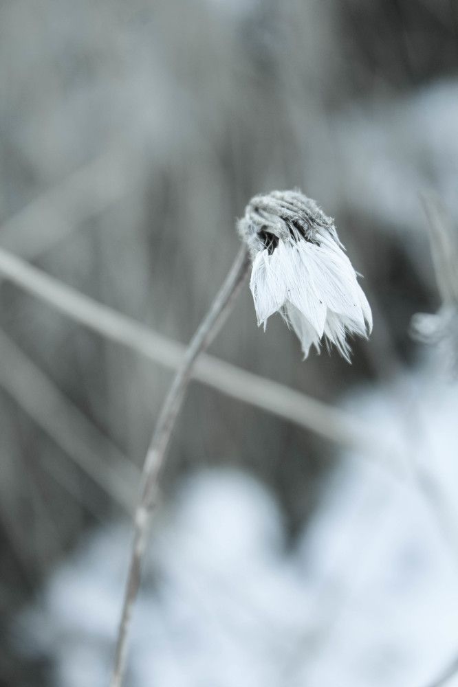 we are not lonely,we are alone