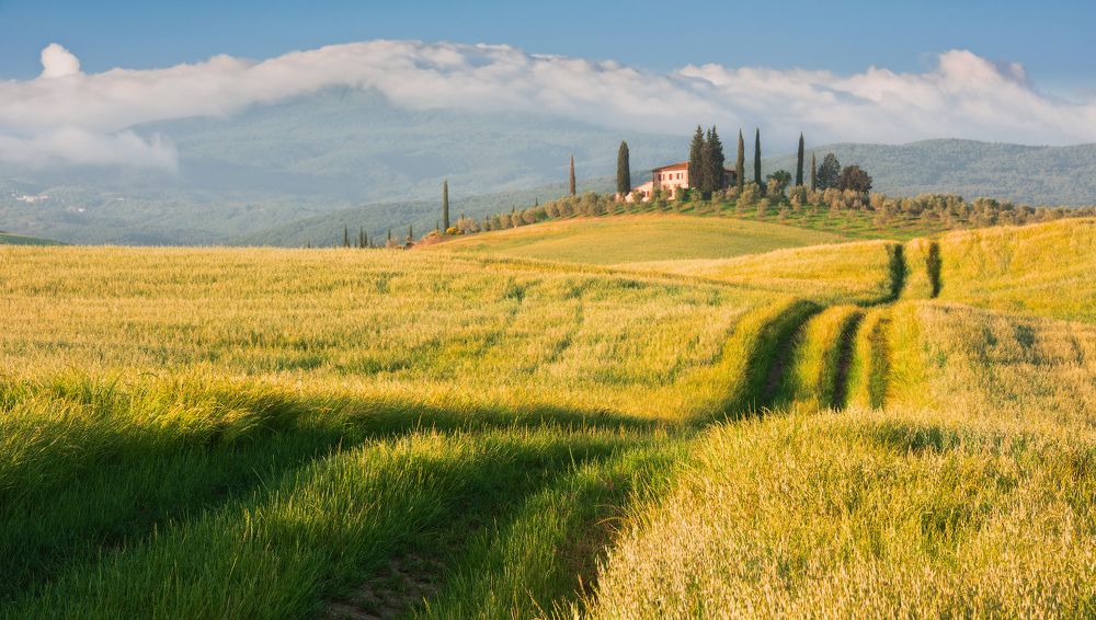 Дорога к дому