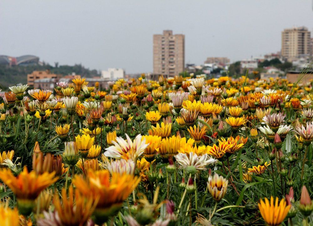 Photograph by Gevorg