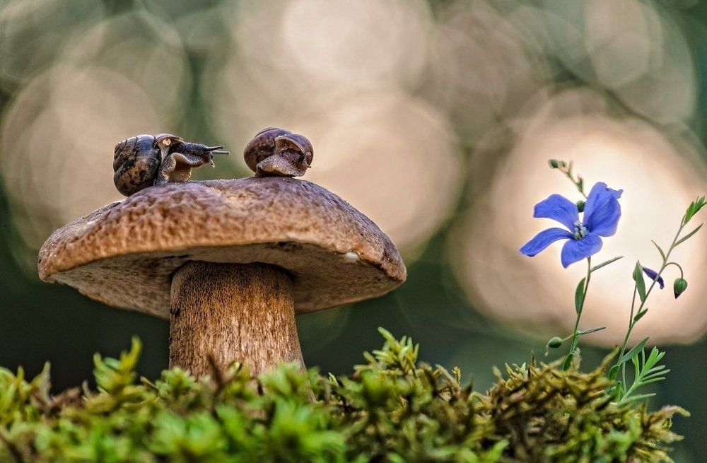 Давай поговорим