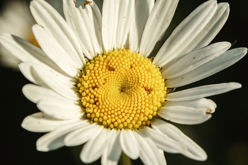 Photograph by Ivan Osipov