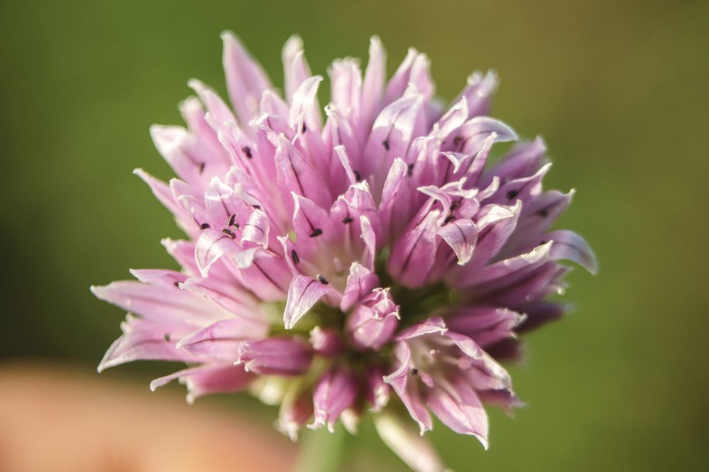 Photograph by Ivan Osipov