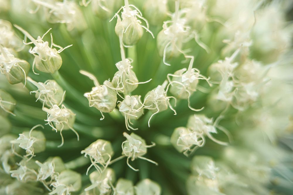 Photograph by Ivan Osipov