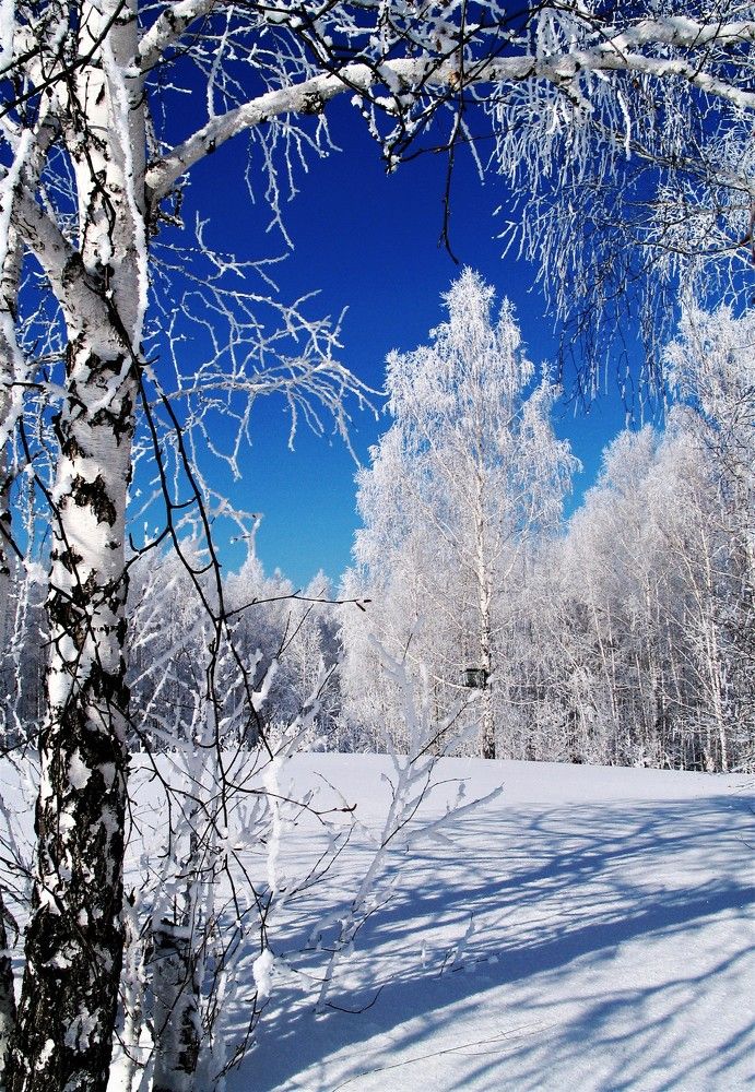 Photograph by Николай Останин