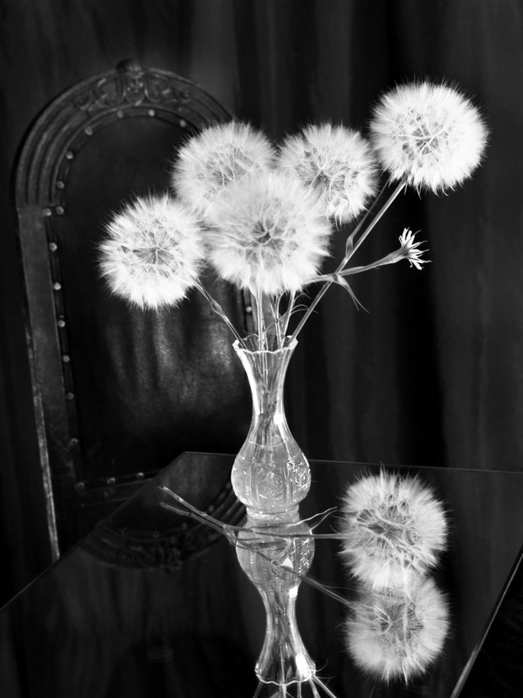 Воспоминания