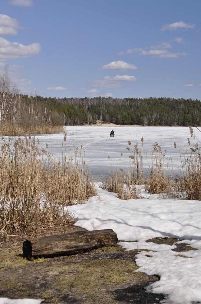 Photograph by Ольга Струкалина