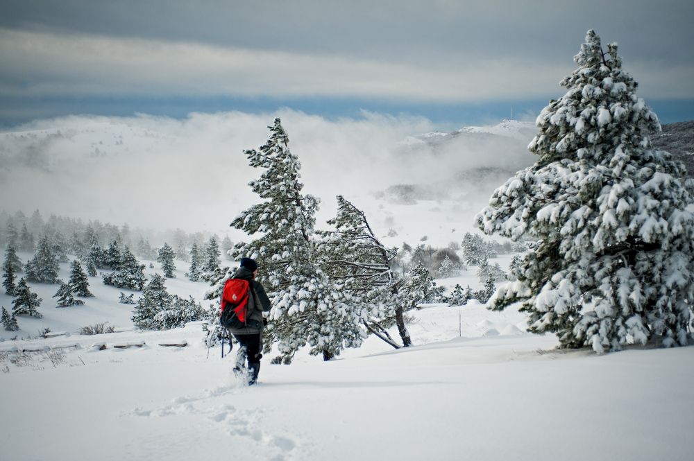 Photograph by Дмитрий Рассыльщиков
