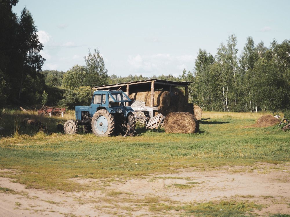 Photograph by Алексей Гнедовский