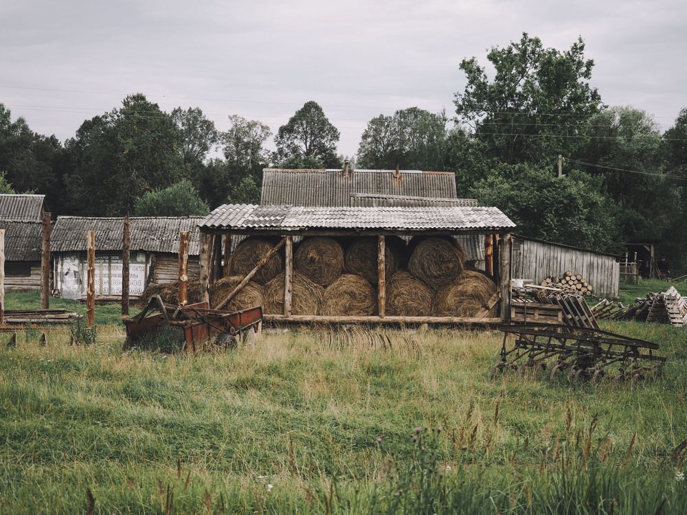 Photograph by Алексей Гнедовский