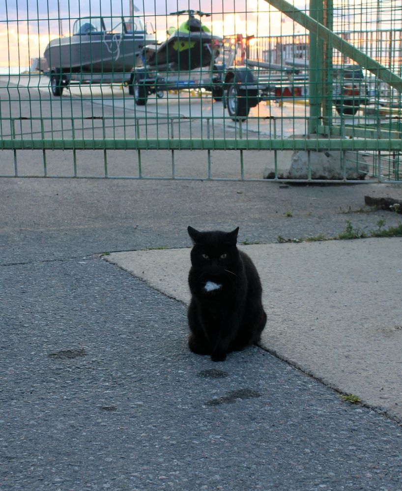 Photograph by Olga Bagaeva