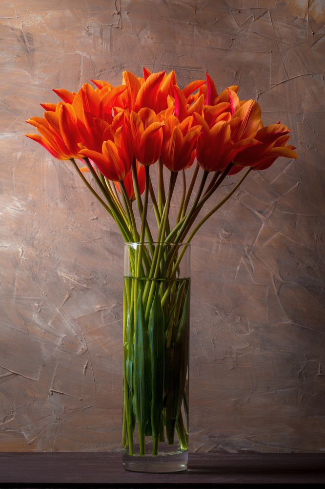 Photograph by Сергей Алексеев