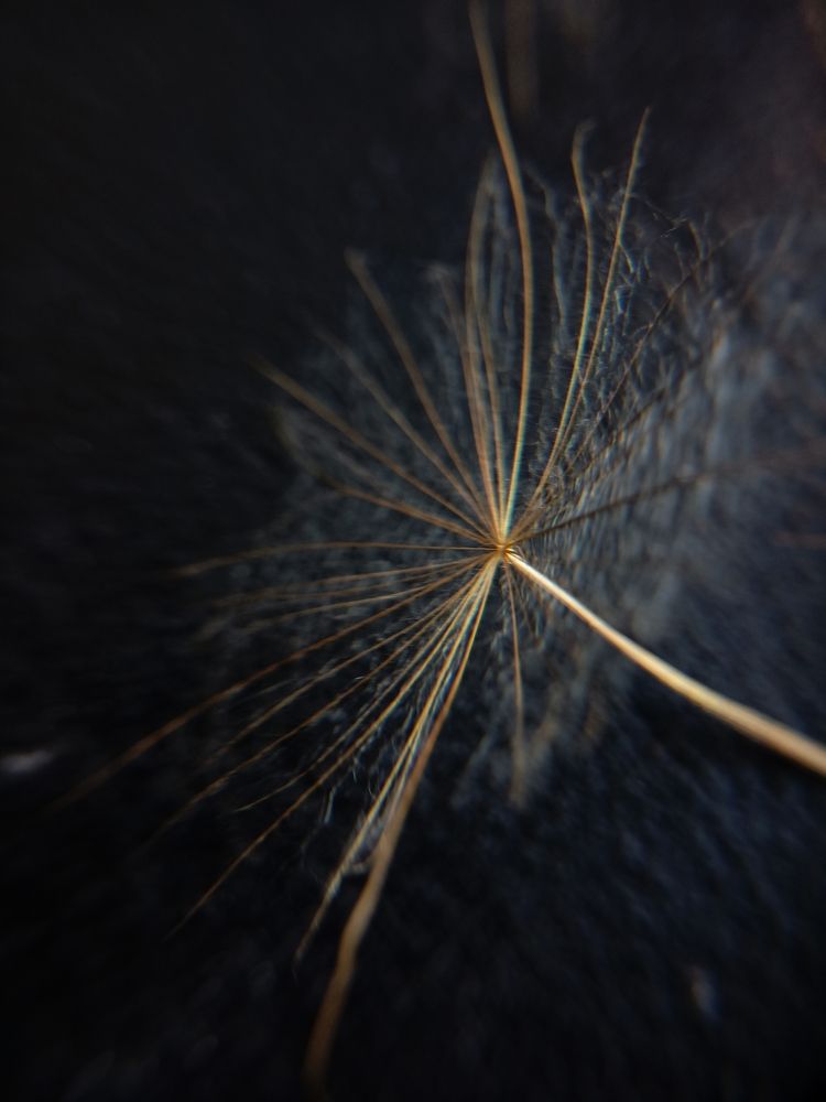 Фотография автора Татьяна Шахова