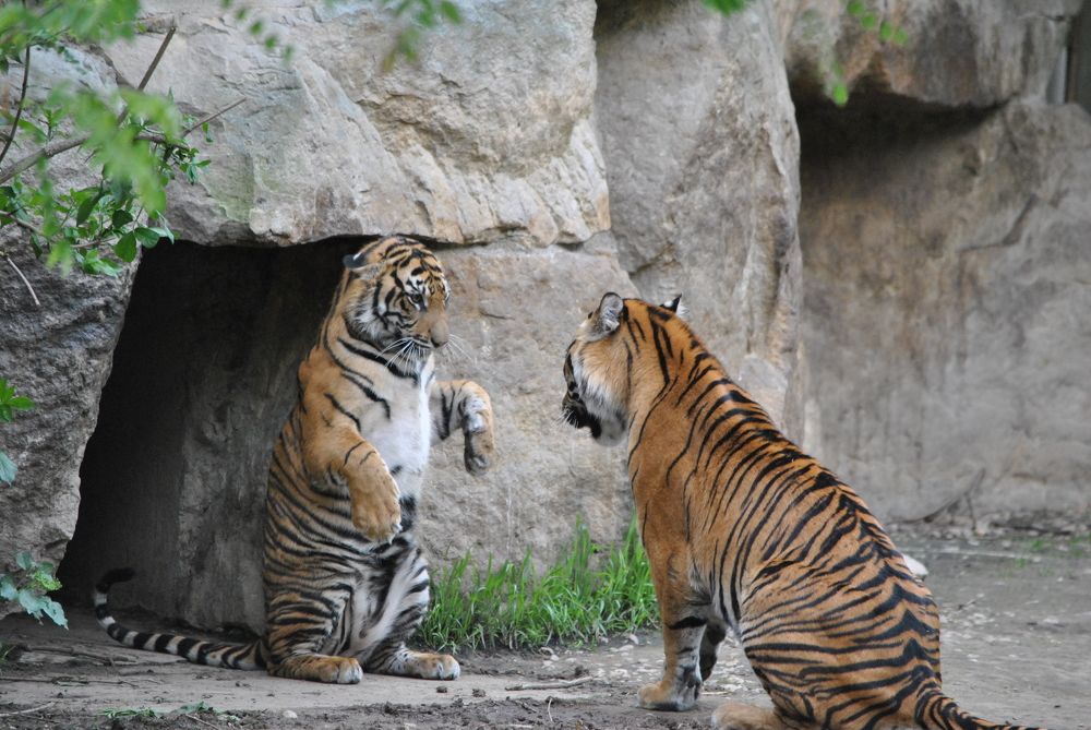 Photograph by Александр Гусев