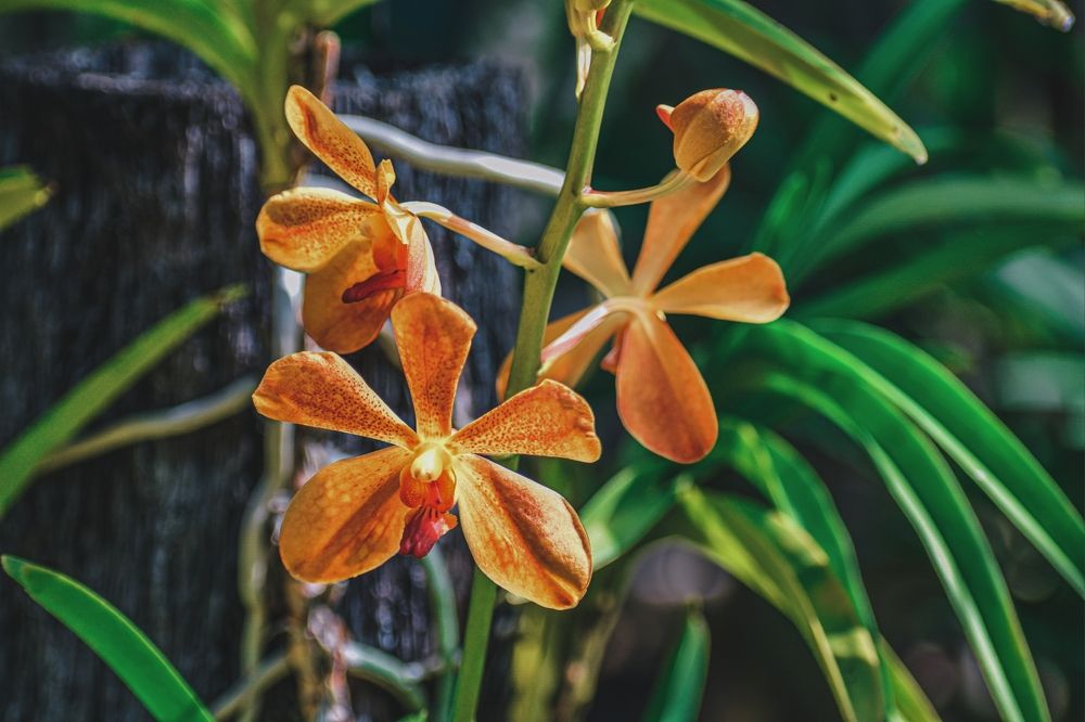 Photograph by Yannah Tekwie