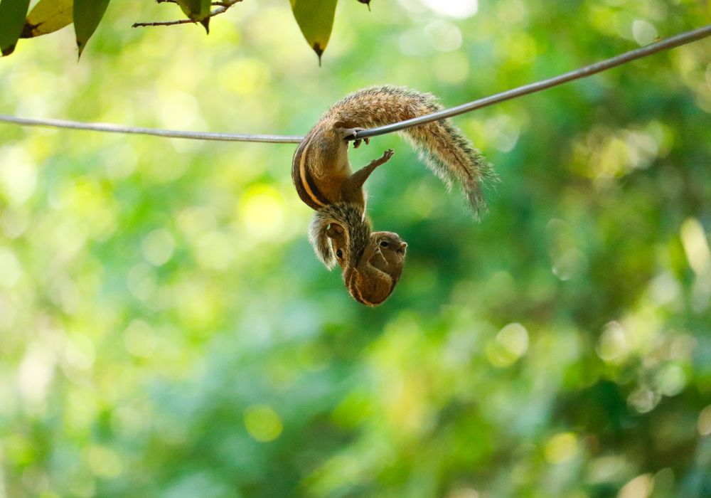 When life hung in the balance