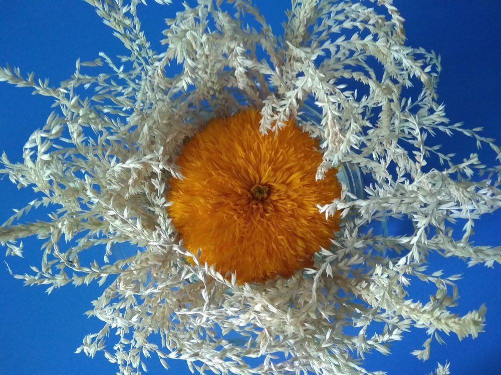 Photograph by Irinochka Zorina