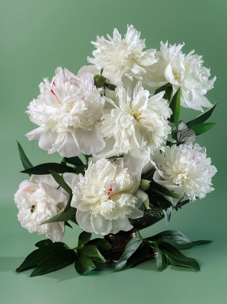 Photograph by Юлия Яремко