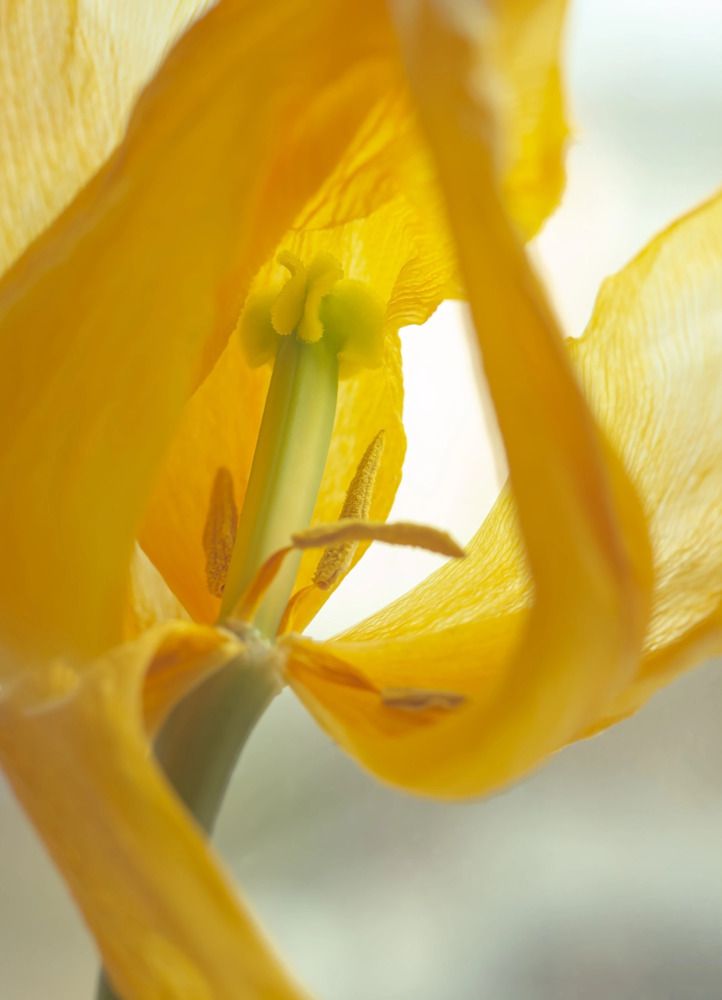 Photograph by Юлия Яремко