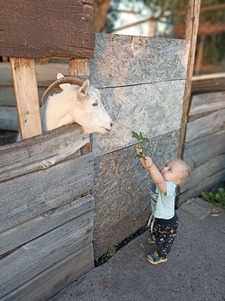 Photograph by Мария Симоненко
