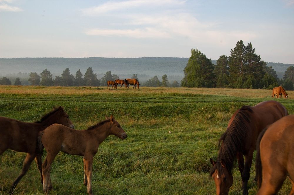 Photograph by Сырчикова Наталья