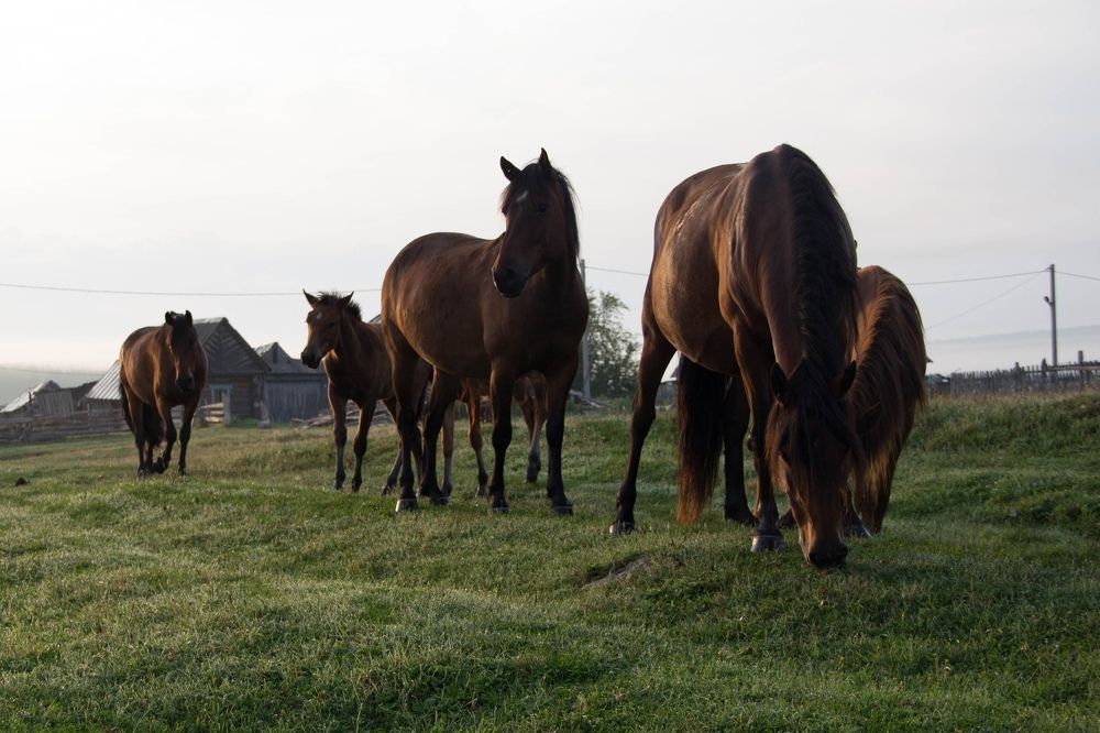 Photograph by Сырчикова Наталья